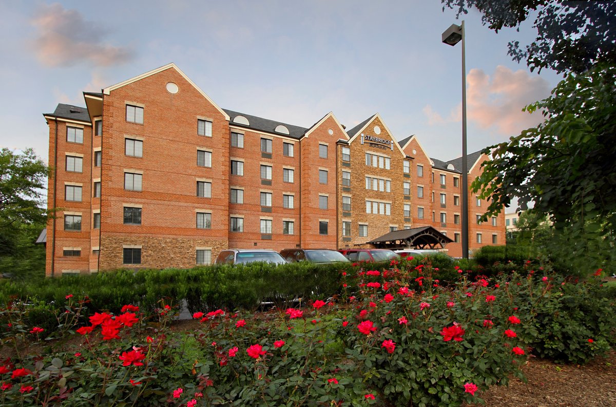 STAYBRIDGE SUITES TYSONS - MCLEAN, AN IHG HOTEL - отзывы, фото и сравнение  цен - Tripadvisor