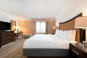 Room & Suite