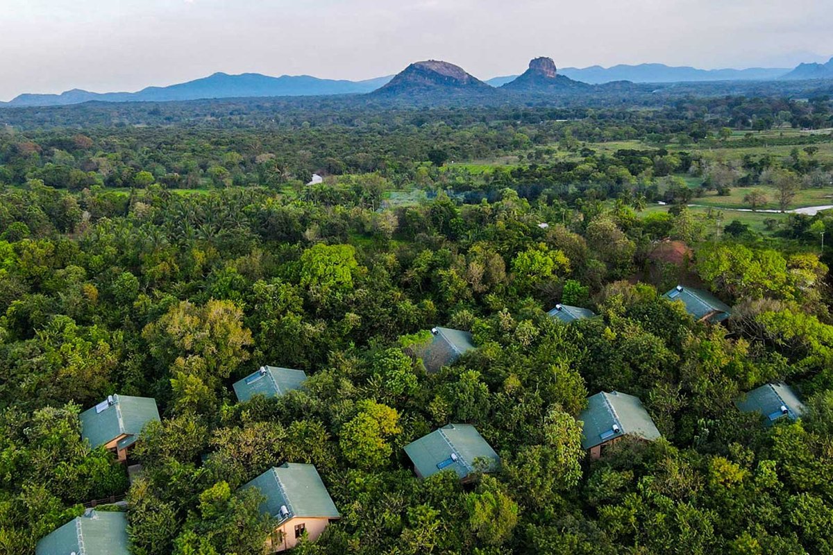 Идеальный домик на дереве! - отзыв о Back of Beyond Jungle Hideaway -  Pidurangala, Сигирия, Шри-Ланка - Tripadvisor