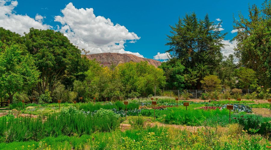 Organic Farm
