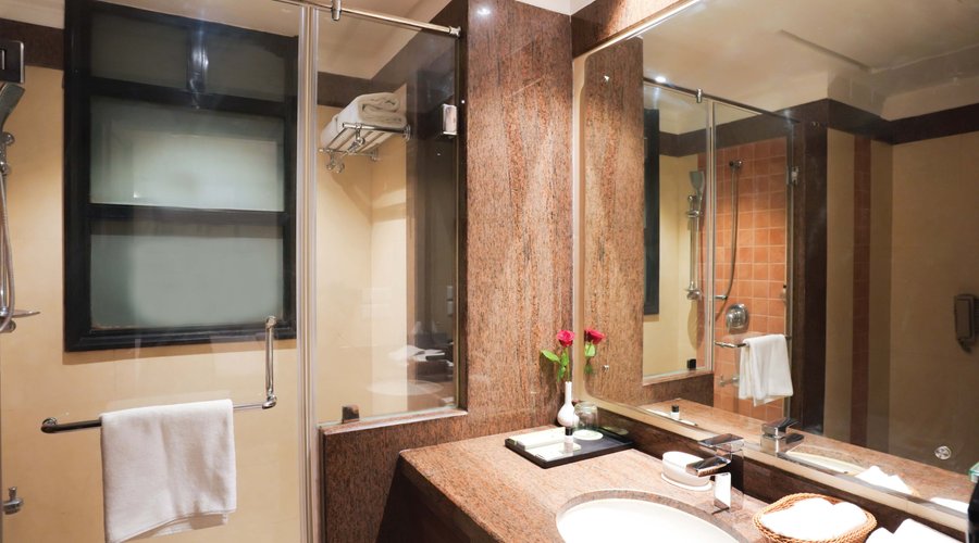 Leisure Inn Grand Chanakya Standard
