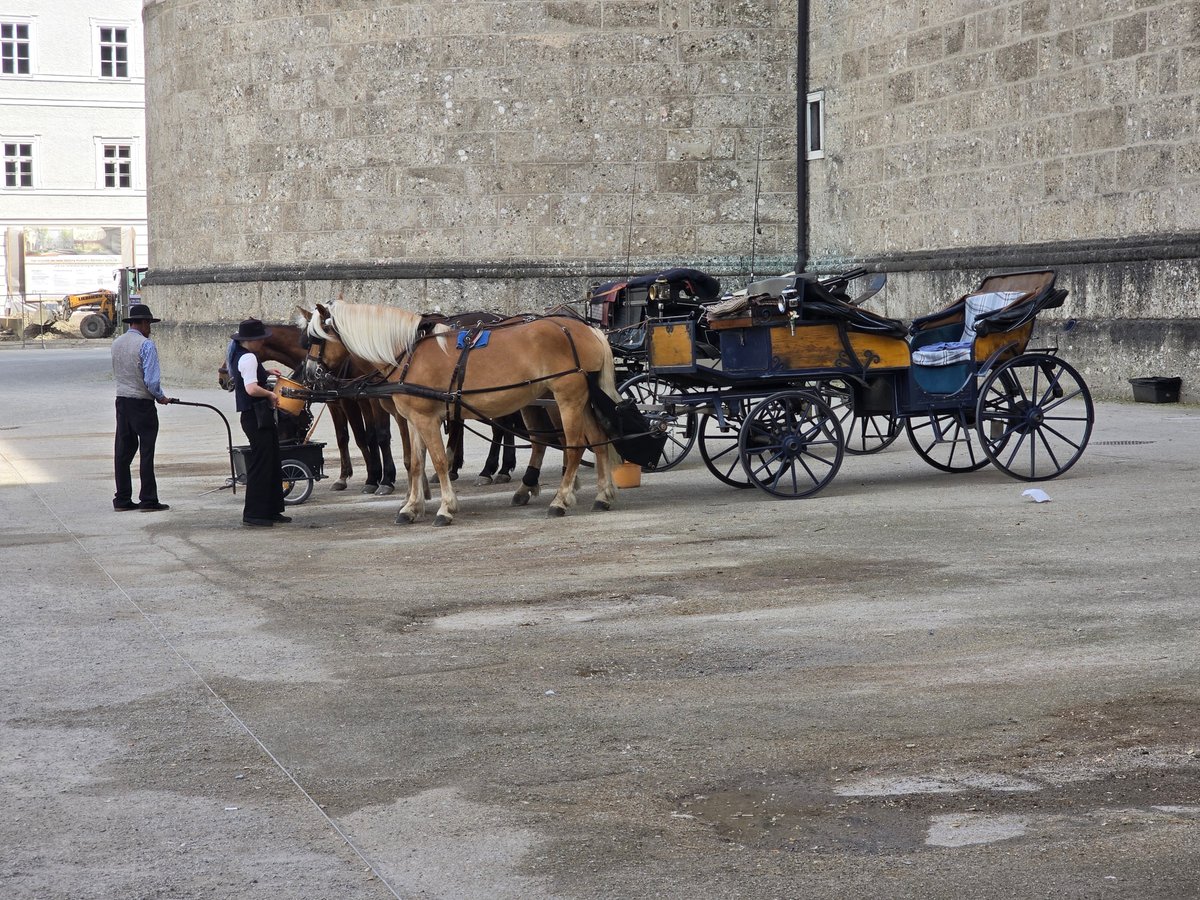 Fiaker Salzburg - Familie Winter, Зальцбург: лучшие советы перед посещением  - Tripadvisor