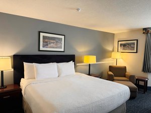Room & Suite