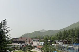 Oda ve Süit