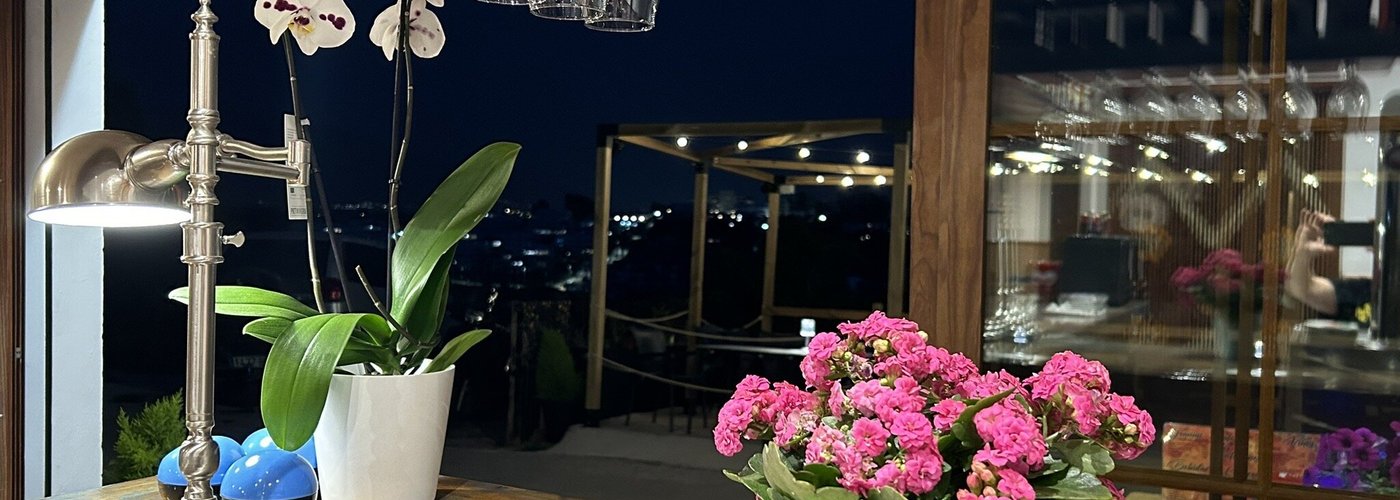Terraza