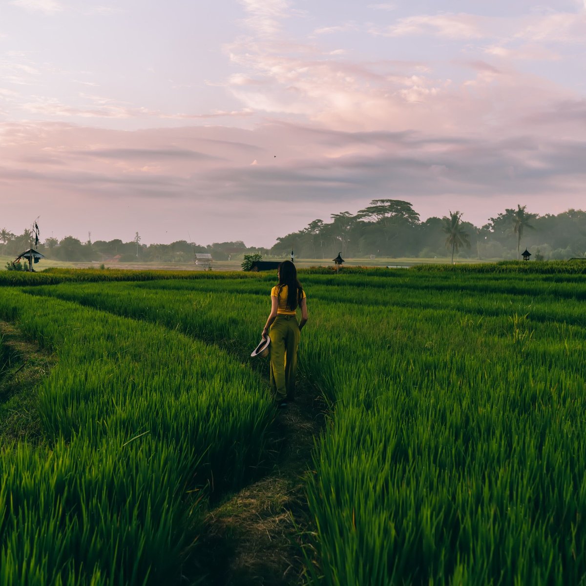 BALI BIKE TOUR (Ubud) - Qué SABER antes de ir (2024)