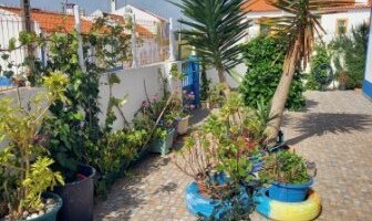 Giardino