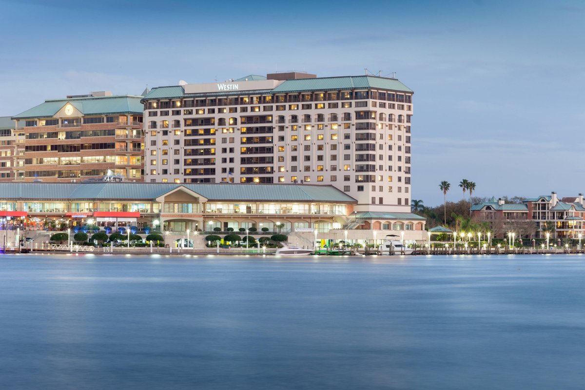 THE 10 BEST Tampa Family Hotels 2024 (with Prices) - Tripadvisor