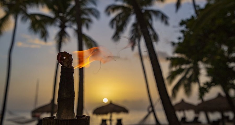 Beach Torch