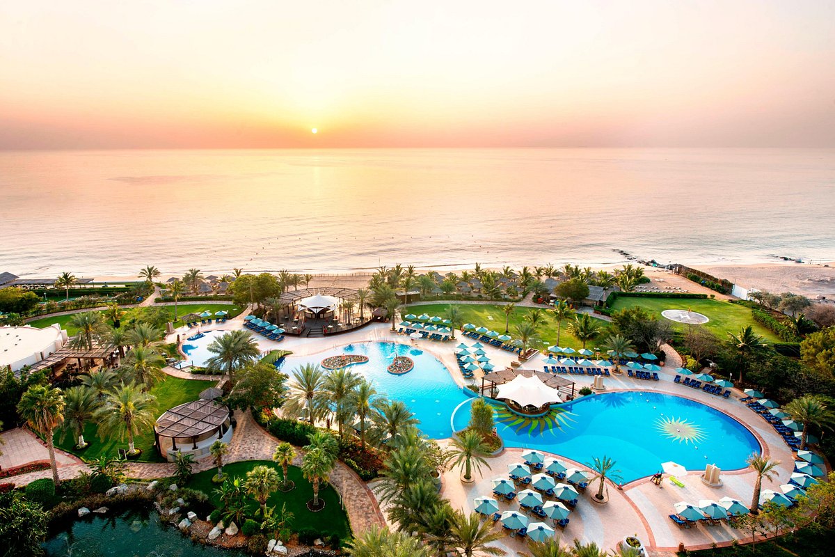 Очень неплохой отель - отзыв о Le Meridien Al Aqah Beach Resort, Al Aqah,  ОАЭ - Tripadvisor