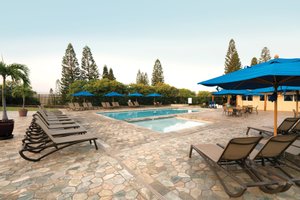 Pool & Beach