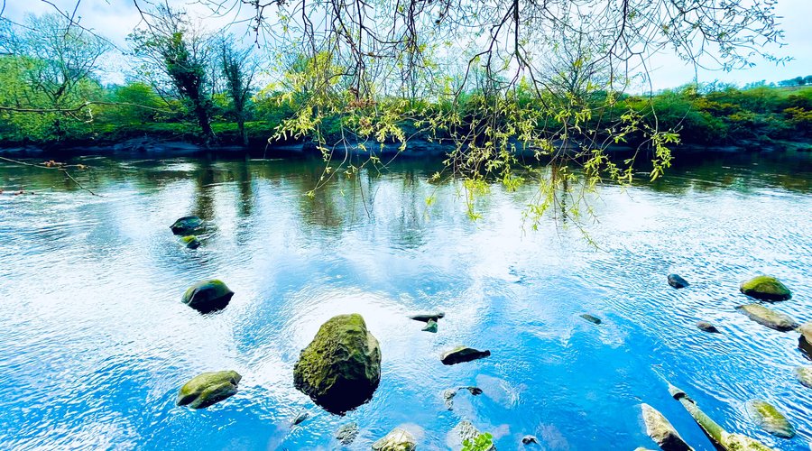 “There is another alphabet, whispering from every leaf, singing from every river, shimmering from every sky.” - Dejan Stojanovic