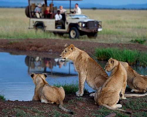 south africa bus tours