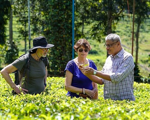 thekkady wildlife tour