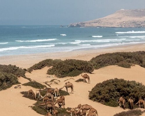 Best Day Trips From Agadir To La Plage Blanche - Local Community and Indigenous People Interactions