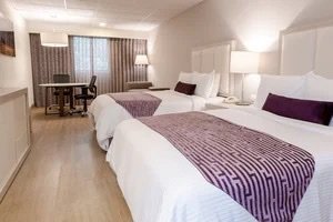 JUNIOR SUITE DOBLE EXECUTIVE