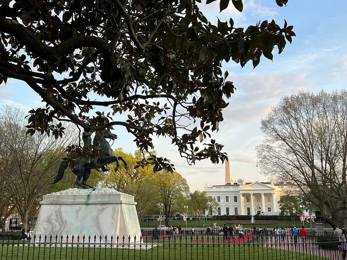 THE HAY-ADAMS (Вашингтон) - отзывы, фото и сравнение цен - Tripadvisor