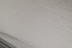 Viaggiatori