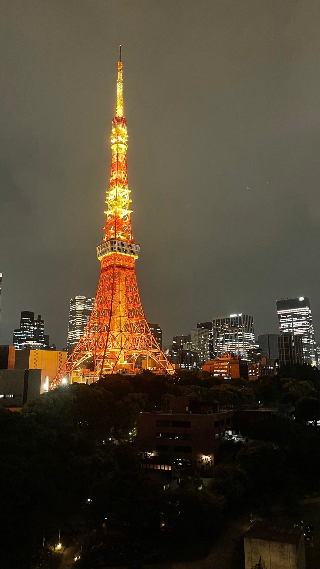 THE PRINCE PARK TOWER TOKYO (Shibakoen) - отзывы, фото и сравнение цен -  Tripadvisor