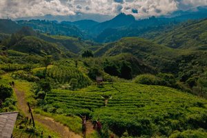 Area Keluarga dan Bermain
