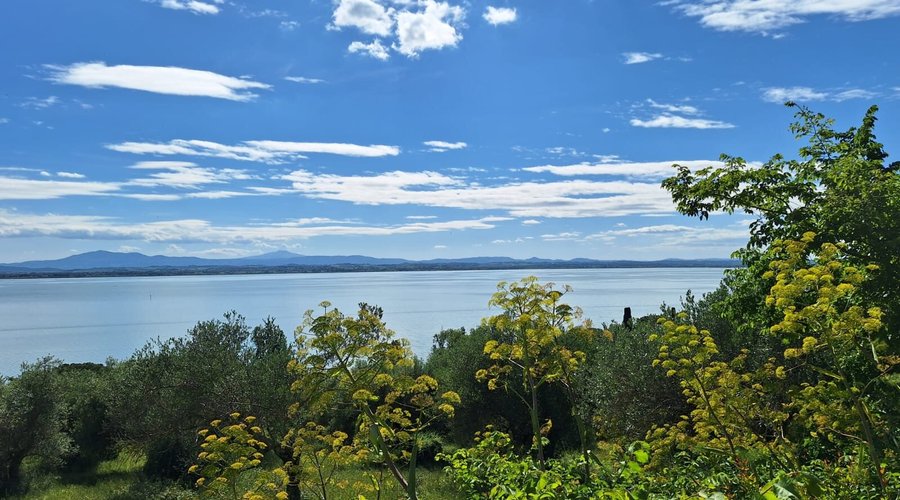 Vista panoramica sul lago Trasimeno e la natura bellissima!🌳🍀🌼🌺🌸