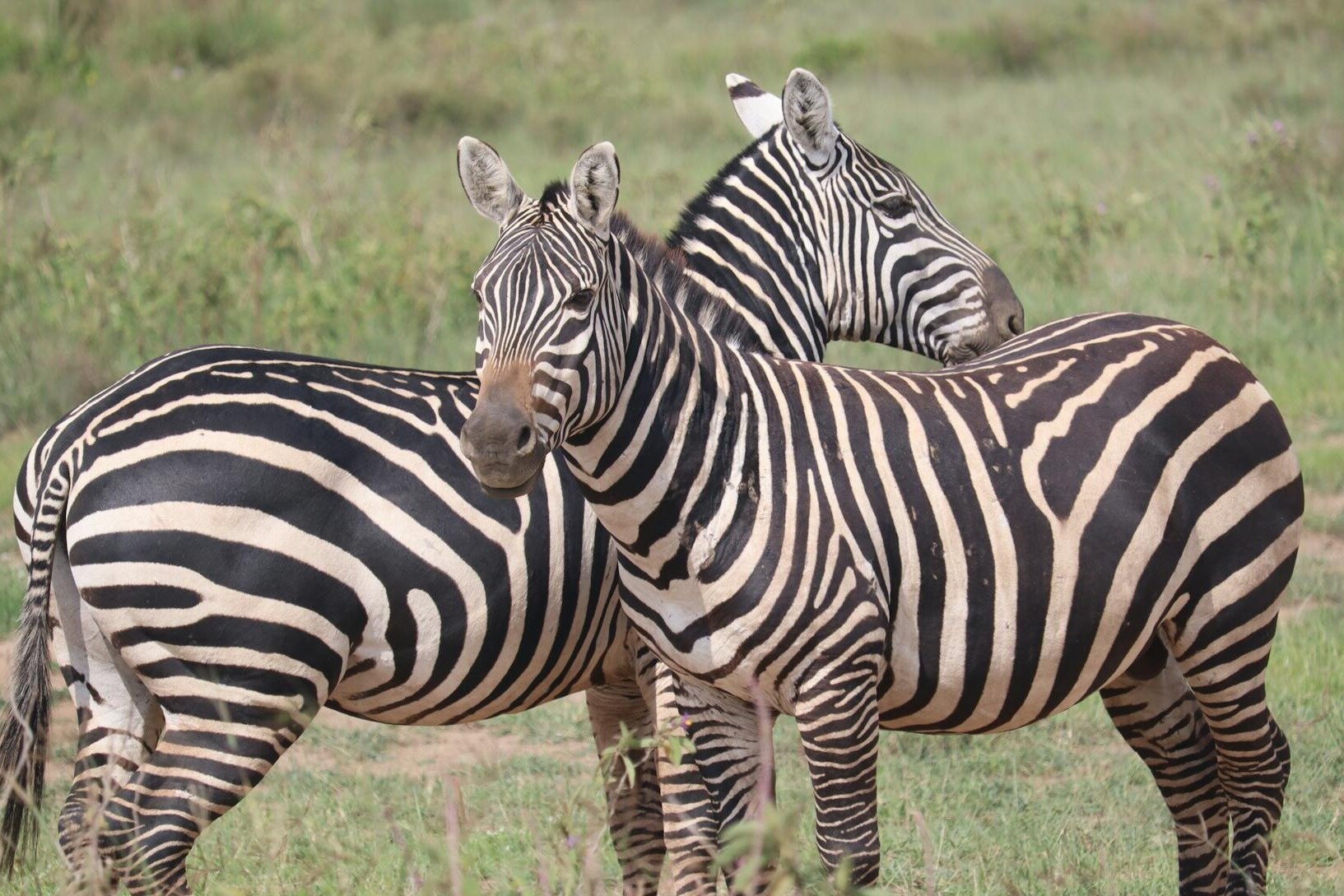 Lets Discover Africa - 아루샤 - Lets Discover Africa의 리뷰 - 트립어드바이저