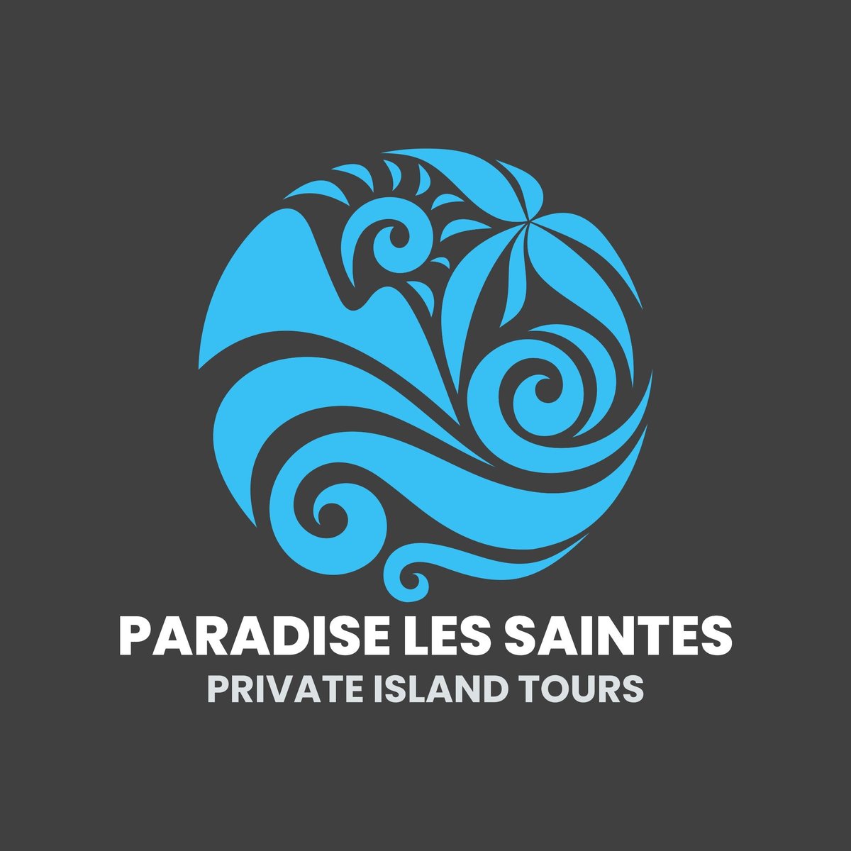 PARADISE LES SAINTES EXCURSIONS (Terre-de-Haut) - Qué SABER antes de ir