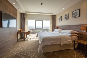 Room & Suite
