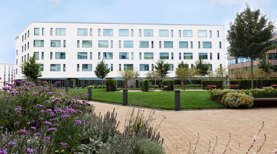 Exterior - Garden