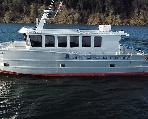 shore excursions for alaska cruises