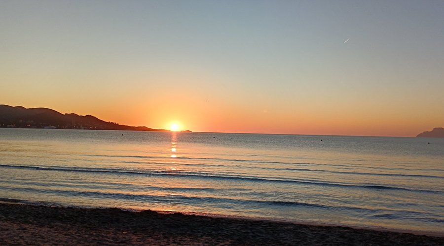 You need to get up early one morning and witness this... 