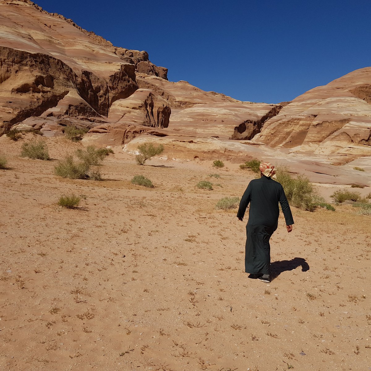 Wadirum Bedouin Friends - All You Need to Know BEFORE You Go (2024)