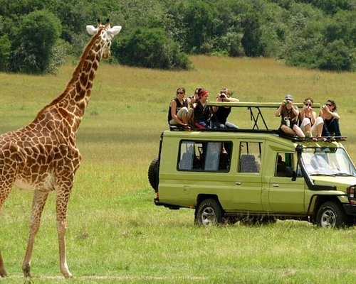safari near durban