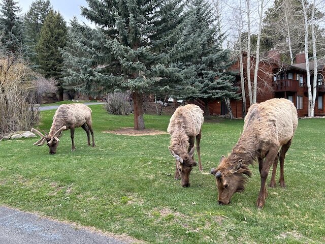 Aspen Winds on Fall River: Estes Park Lodging on Fall River