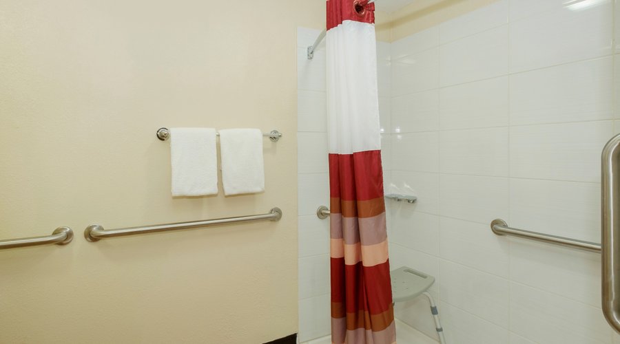 ADA Walk In Shower