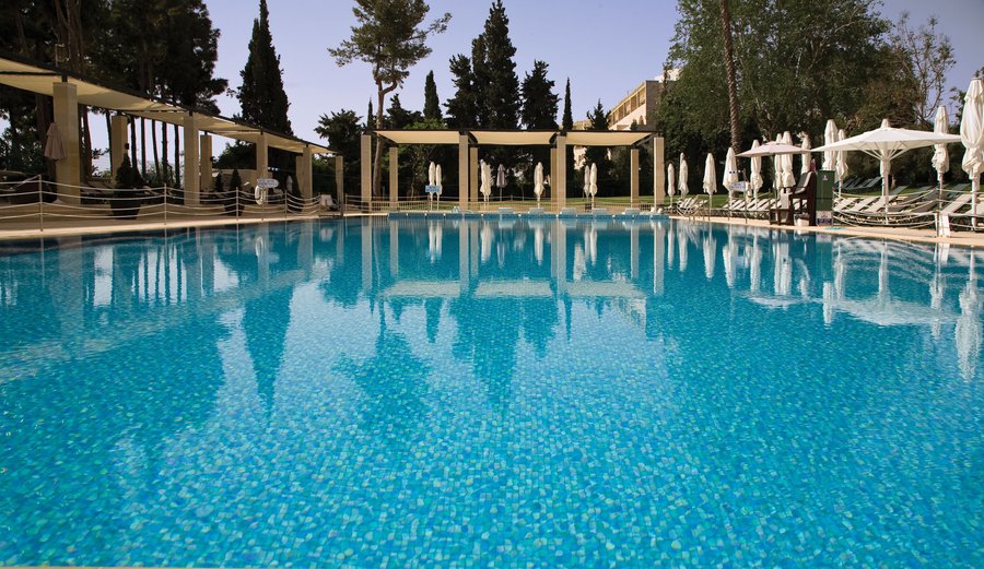 Swimming pool surrounded by landscaped Gardens
