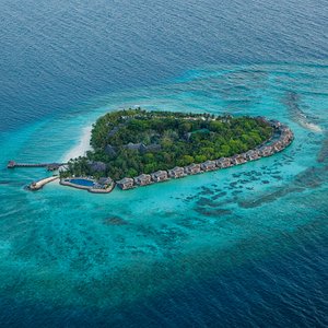Vivanta By Taj Coral Reef Aerial II