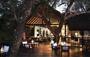 Londolozi Treecamp Deck