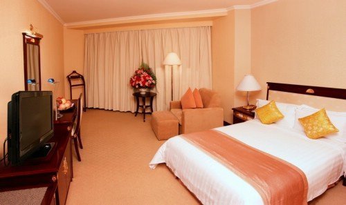 Deluxe Guest Room