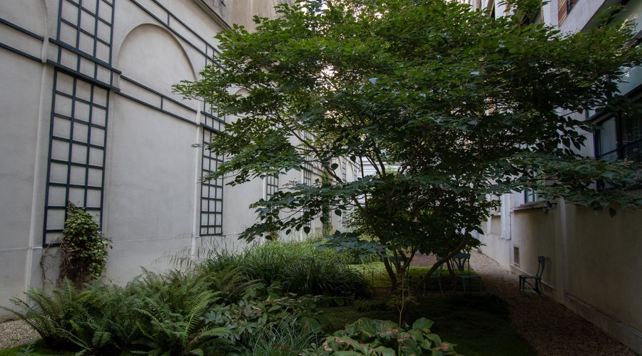 Interior Garden