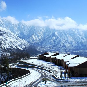 Premium Indulgence Wing In Winter