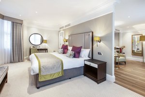 Room & Suite