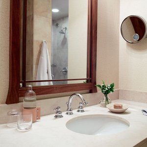 HGGuest Room Bathroom DKCropped