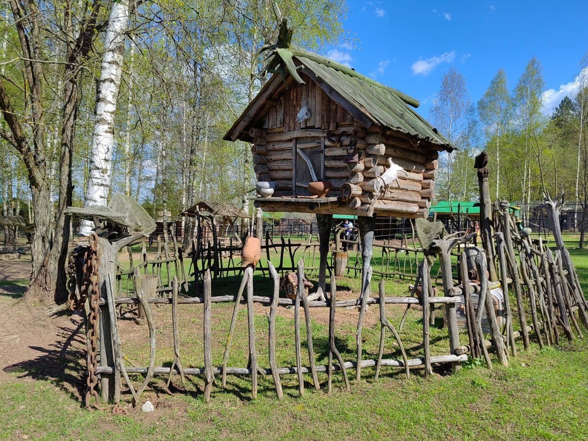 Экскурсии Спутник8, Санкт-Петербург: лучшие советы перед посещением -  Tripadvisor