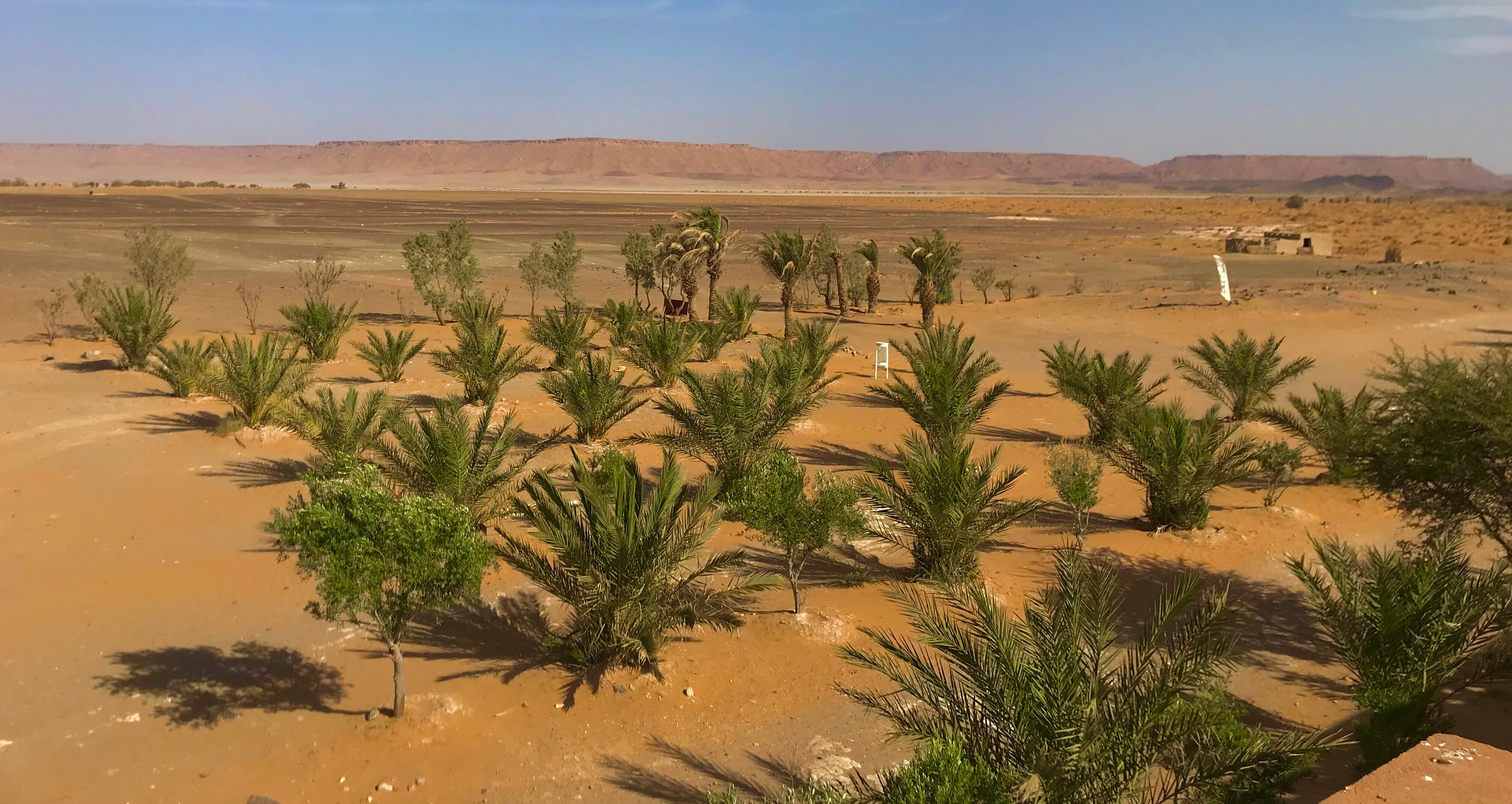 AUBERGE ITRANE SAHARA - Bewertungen & Fotos (Taouz, Marokko) - Tripadvisor