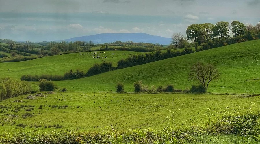 View of the pastures from our favorite sitting area at Alices