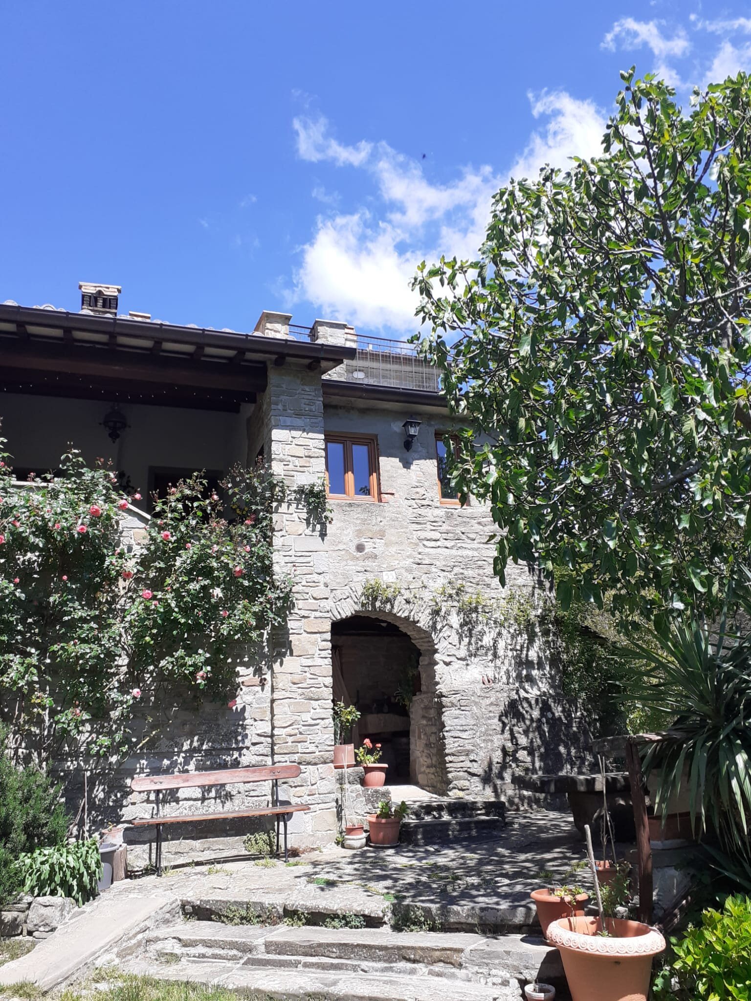 B&B IL PALAZZO - Prices & Specialty B&B Reviews (Montagna, Italy)