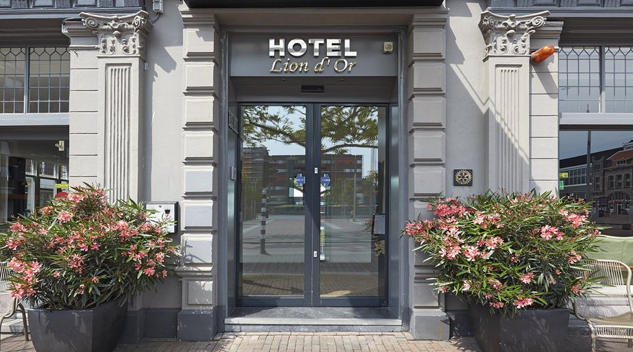 Front Entrance Lion D Or