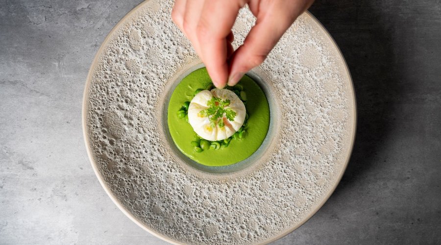 Dish