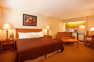 Room & Suite